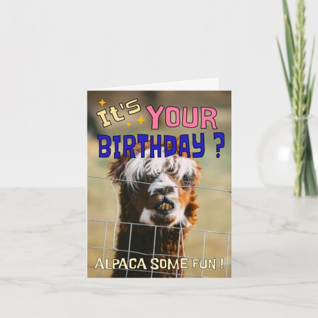 Funny Alpaca carte d'anniversaire - Animal Pun Hum (Devant)