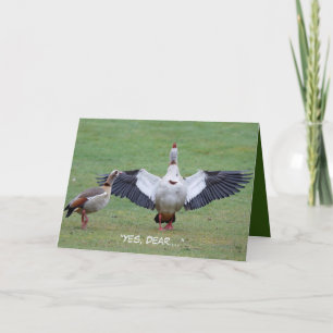 Funny Anniversaire carte