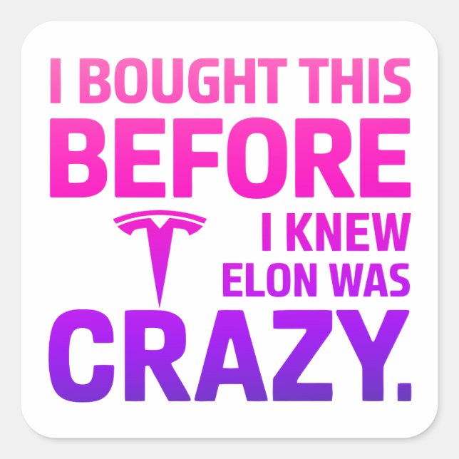Funny Anti-Elon Musk Vinyl Sticker for Cars & Wind (Devant)