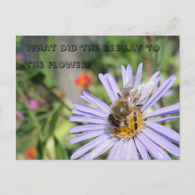 Funny Bee Carte postale (Devant)