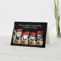 Funny Biker Cats carte d'anniversaire