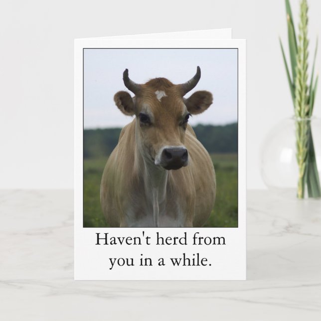 Funny Brown Vache carte de voeux (Devant)