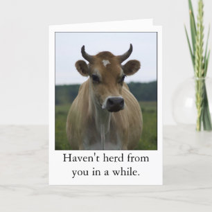 Funny Brown Vache carte de voeux