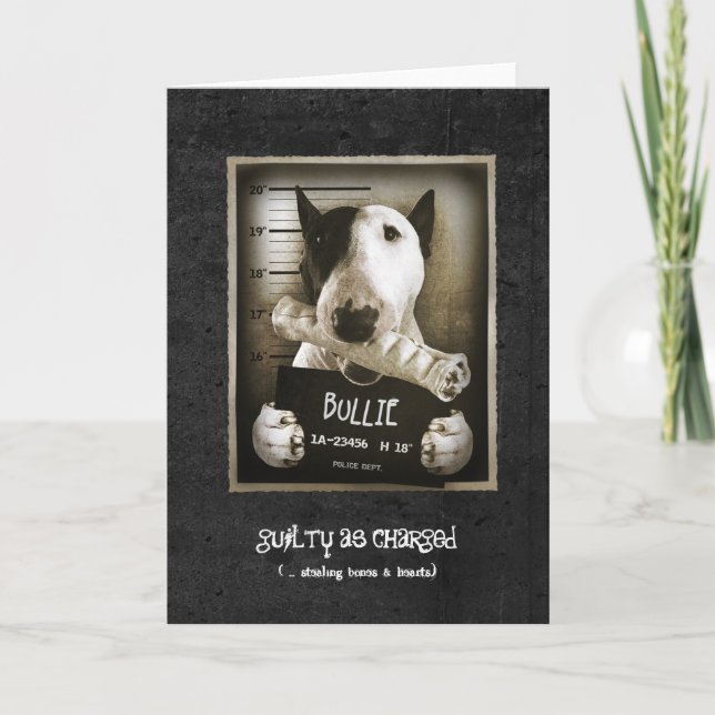 Funny Bull Terrier "Mug Shot" Carte de voeux (Devant)