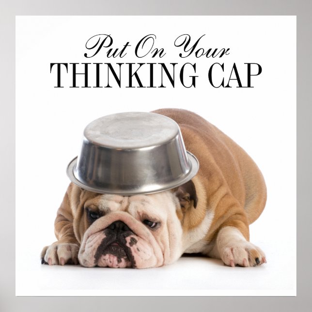 Funny Bulldog - Poster - srf (Devant)