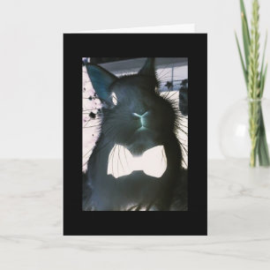 ***FUNNY BUNNY*** CARTE FUNNY **REMERCIEMENTS DE P