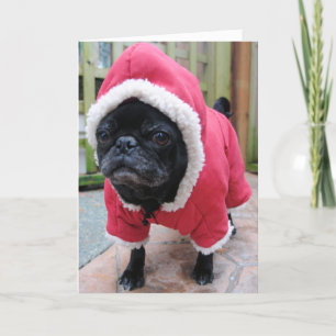 Funny Carlin Carte de voeux d'anniversaire