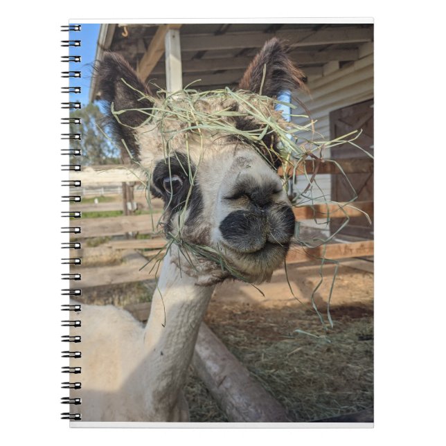 Funny Carnet Alpaca (Devant)