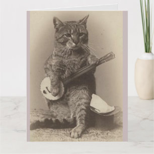 FUNNY CAT BANJO CARTE D'ANNIVERSAIRE
