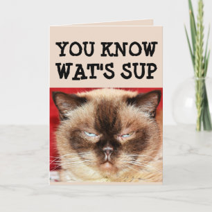 FUNNY CAT BIRTHDAE Carte de voeux