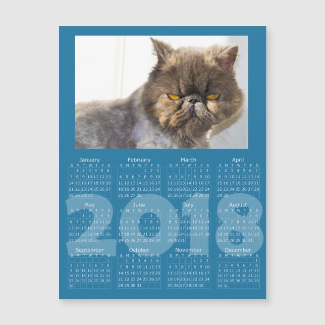 Funny Cat Blue 2018 Calendrier Carte magnétique (Devant)