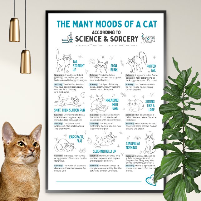 Funny Cat Body Language Poster – Feline Mood Chart (Créateur téléchargé)