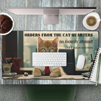 Funny Cat Business