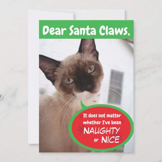 Funny Cat Père Noël Claws Carte de voeux de vacanc (Devant)
