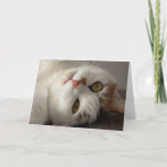 Funny Cat Up Fermer Carte d'anniversaire<br><div class="desc">Drôle Chat Carte d'Anniversaire.  Message à l'intérieur : "ASSUREZ-VOUS SEULEMENT DE ME VOIR QUAND JE DIS HEUREUX ANNIVERSAIRE !"</div>