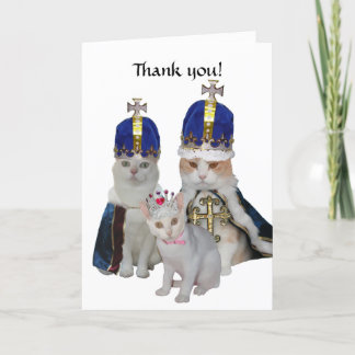 Funny Cats Carte de remerciements