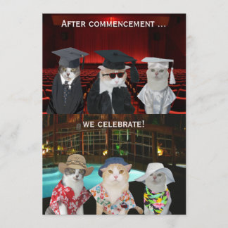 Funny Cats Invitation de la fête de la graduation