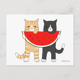 Funny Cats Manger Watermelon Carte postale Funny C