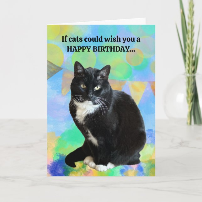 Funny Chat carte d'anniversaire du chat (Devant)