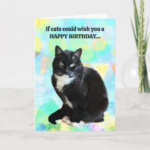 Funny Chat carte d'anniversaire du chat