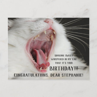 Funny Chat Cute Carte postale Anniversaire
