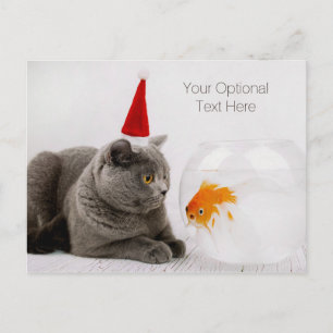 Funny Chat & Poisson texte personnalisé carte post