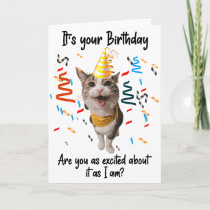 Funny Chat souriant Carte de voeux Anniversaire