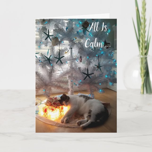 Funny Chat Tout Est Calme Carte De Noël (Devant)