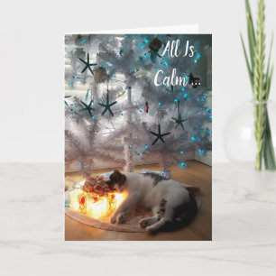 Funny Chat Tout Est Calme Carte De Noël