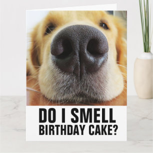 FUNNY CHIEN CARTE DE SALUT D'ANNIVERSAIRE ANNIVERS
