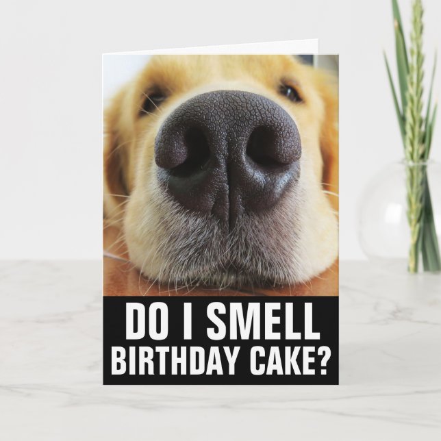 FUNNY CHIEN CARTE DE SALUT D'ANNIVERSAIRE ANNIVERS (Devant)
