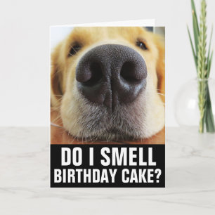 FUNNY CHIEN CARTE DE SALUT D'ANNIVERSAIRE ANNIVERS