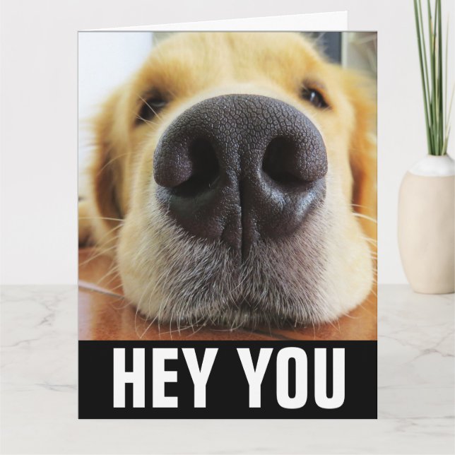 FUNNY CHIEN HELLO TOUTE FOIS GREETING CARTE (Devant)