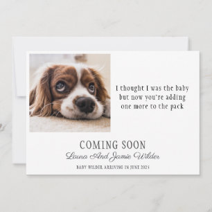 Funny Chien Photo Faire-part de grossesse