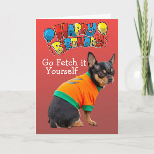 Funny Chihuahua carte d'anniversaire pour chien