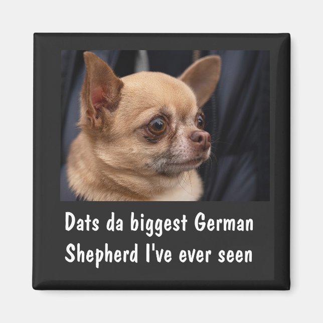 FUNNY CHIHUAHUA MAGNET (Devant)