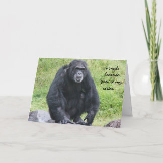 Funny Chimapanzee Carte d'anniversaire pour soeur