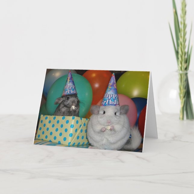 Funny Chinchilla carte d'anniversaire (Devant)