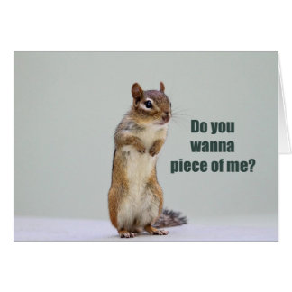 Funny Chipmunk Photo