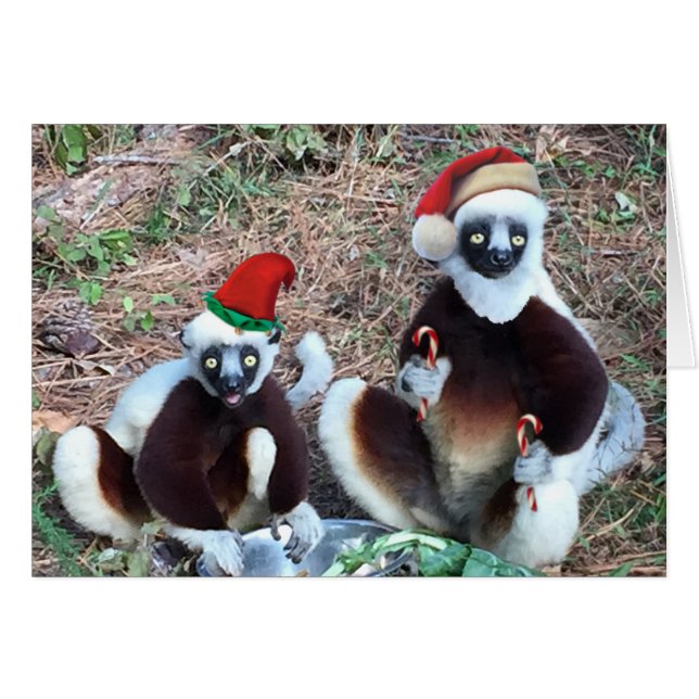 Funny Christmas Lemurs Greeting Card (Devant horizontal)