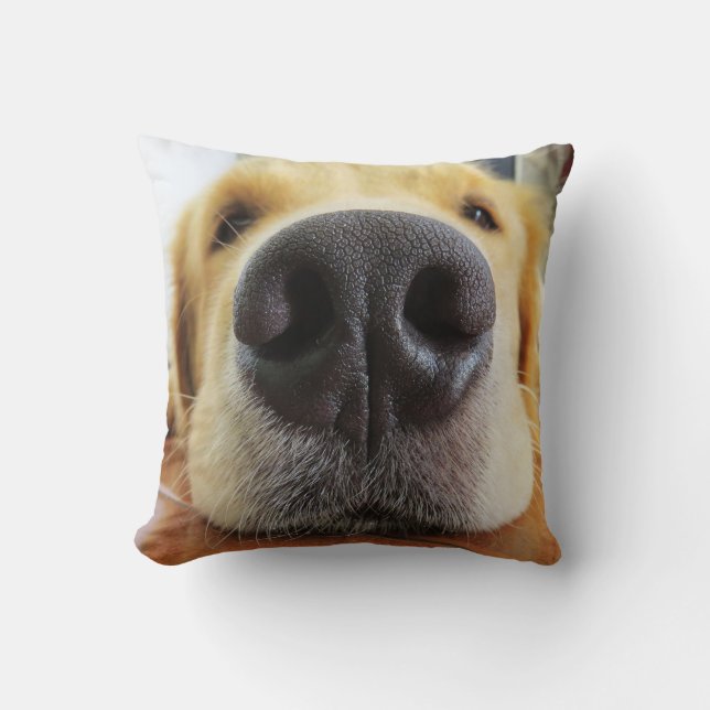 FUNNY CLOSEUP CHIEN PHOTO COUSSINS (Recto)