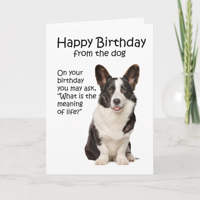Funny Corgi carte d'anniversaire (Devant)