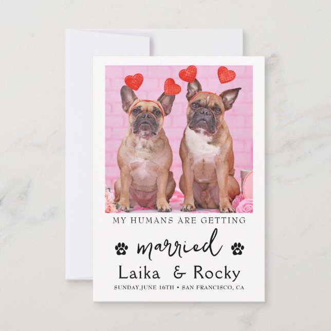 Funny Dog Wedding Invitation (Devant)