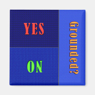 Funny Flip Magnet - Grounded Status