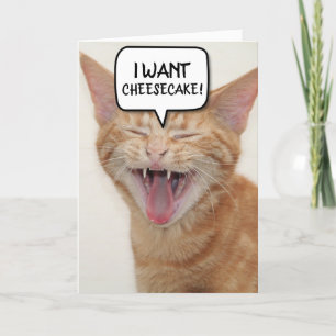 FUNNY GINGER CHAT CARTE D'ANNIVERSAIRE JE VEUX-CHE