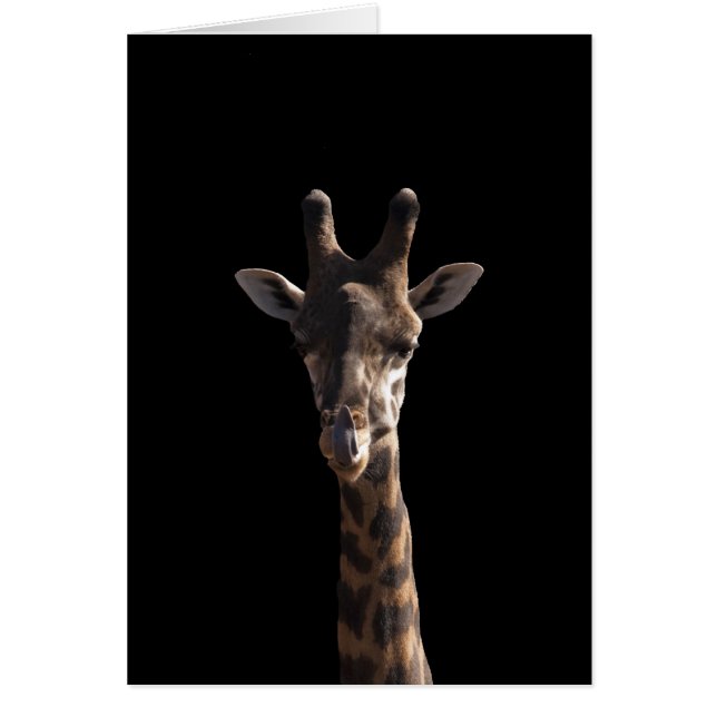 Funny Giraffe (Devant)