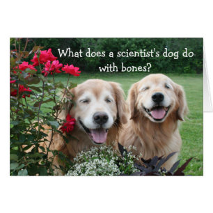 Funny Golden Retriever Barium Scientifique Plaisan