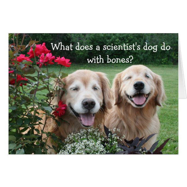 Funny Golden Retriever Barium Scientifique Plaisan (Devant horizontal)
