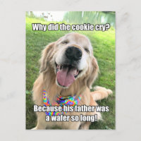 Funny Golden Retriever Cookie Joke Mème carte post