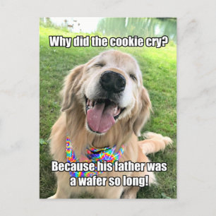 Funny Golden Retriever Cookie Joke Mème carte post
